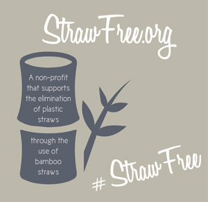 Straw Free Internship