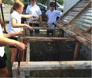 The Will Rogers Middle School Green Team maintains their school's compost and recycling program.