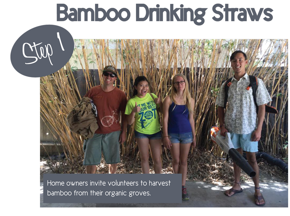 How to Make Bamboo Straws (DIY Guide)