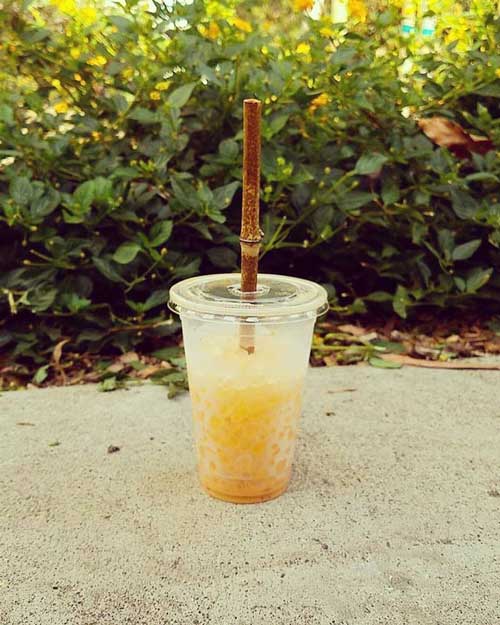 bamboo_straw_in_drink